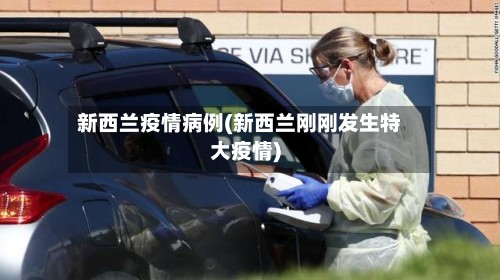 新西兰疫情病例(新西兰刚刚发生特大疫情)